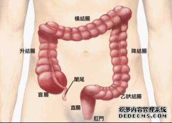 肠镜检查多少钱